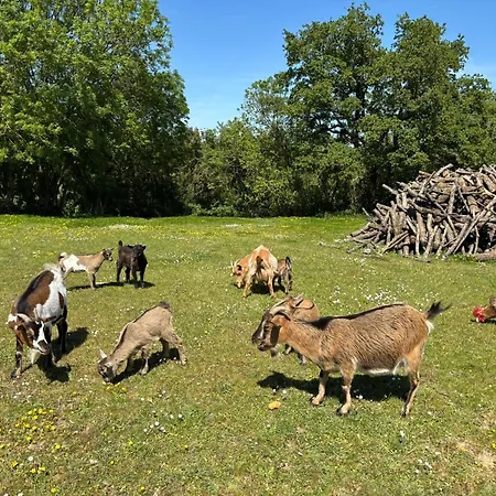 Paisible Avec Faune Locale - 6 Pers. - Fr-1-426-617 بيت للعطل شانتونيه