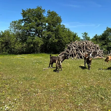 Paisible Avec Faune Locale - 6 Pers. - Fr-1-426-617 * شانتونيه